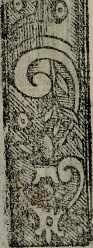 An illustration from Emblemas morales de Don Sebastian de Couarrubias Orozco ..., 1610, leaf 295