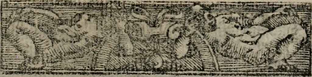 An illustration from Emblemas morales de Don Sebastian de Couarrubias Orozco ..., 1610, leaf 296