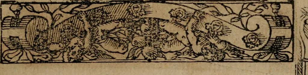 An illustration from Emblemas morales de Don Sebastian de Couarrubias Orozco ..., 1610, leaf 30