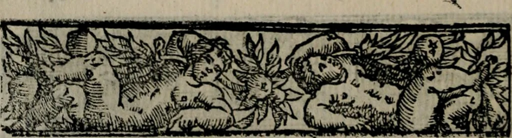 An illustration from Emblemas morales de Don Sebastian de Couarrubias Orozco ..., 1610, leaf 301