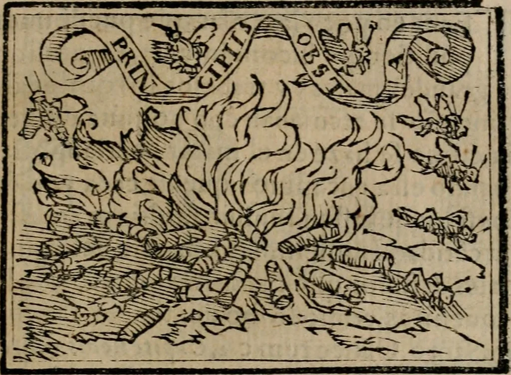 An illustration from Emblemas morales de Don Sebastian de Couarrubias Orozco ..., 1610, leaf 302