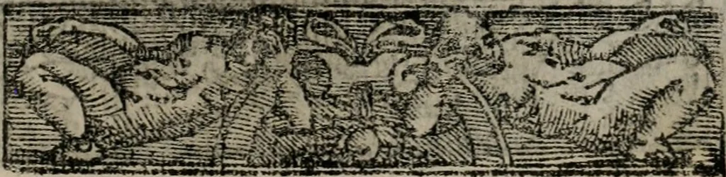 An illustration from Emblemas morales de Don Sebastian de Couarrubias Orozco ..., 1610, leaf 356