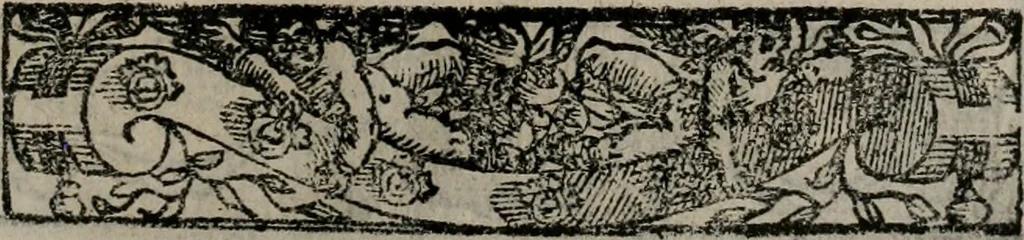 An illustration from Emblemas morales de Don Sebastian de Couarrubias Orozco ..., 1610, leaf 358