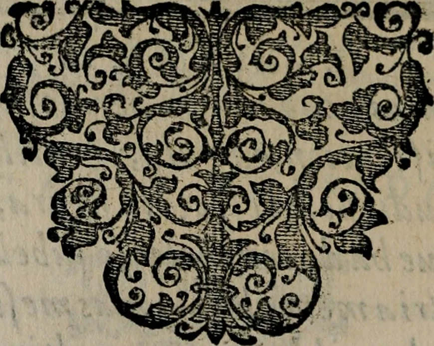 An illustration from Emblemas morales de Don Sebastian de Couarrubias Orozco ..., 1610, leaf 377