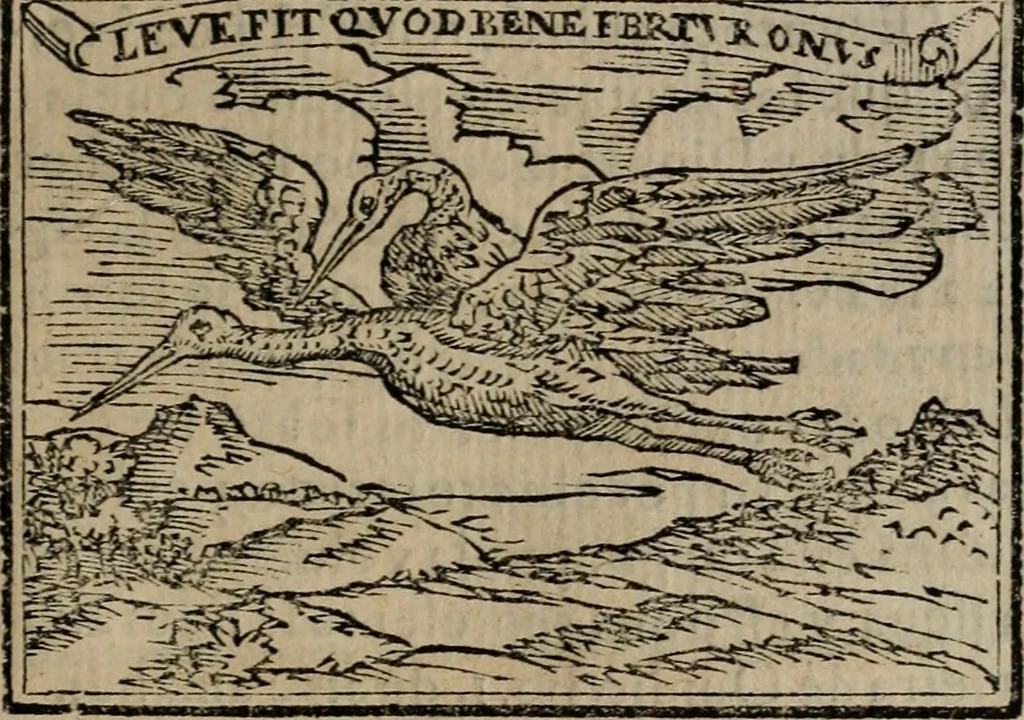 An illustration from Emblemas morales de Don Sebastian de Couarrubias Orozco ..., 1610, leaf 378
