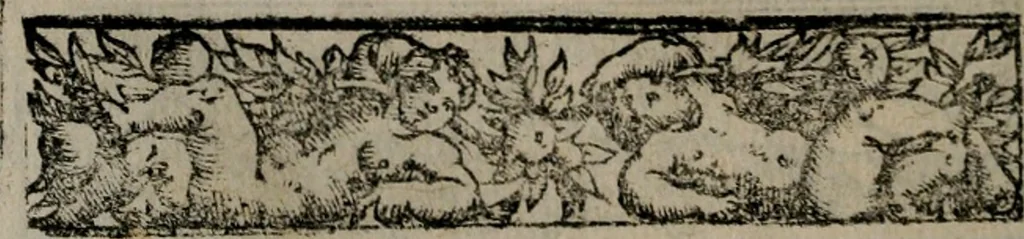 An illustration from Emblemas morales de Don Sebastian de Couarrubias Orozco ..., 1610, leaf 401