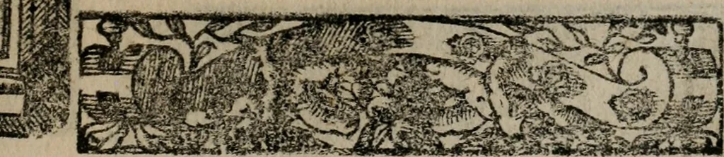 An illustration from Emblemas morales de Don Sebastian de Couarrubias Orozco ..., 1610, leaf 410