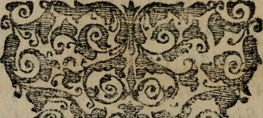 An illustration from Emblemas morales de Don Sebastian de Couarrubias Orozco ..., 1610, leaf 415