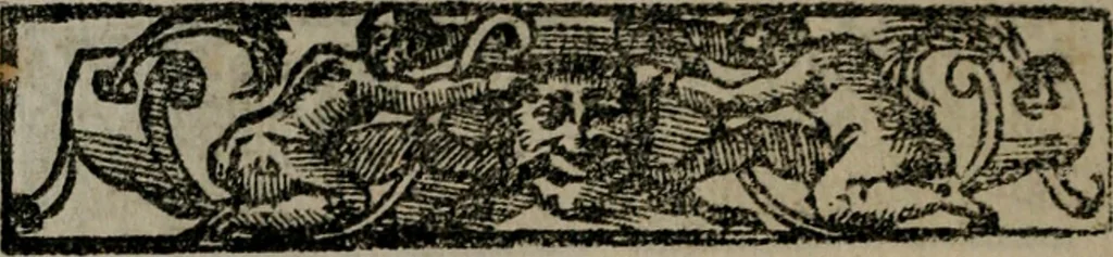 An illustration from Emblemas morales de Don Sebastian de Couarrubias Orozco ..., 1610, leaf 419