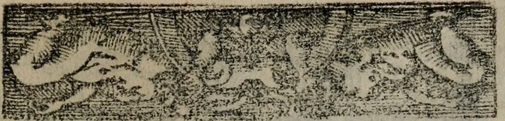 An illustration from Emblemas morales de Don Sebastian de Couarrubias Orozco ..., 1610, leaf 428