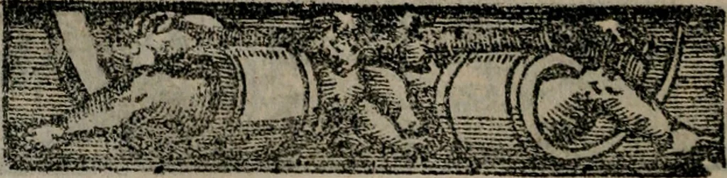 An illustration from Emblemas morales de Don Sebastian de Couarrubias Orozco ..., 1610, leaf 447