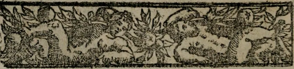 An illustration from Emblemas morales de Don Sebastian de Couarrubias Orozco ..., 1610, leaf 449