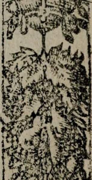 An illustration from Emblemas morales de Don Sebastian de Couarrubias Orozco ..., 1610, leaf 483
