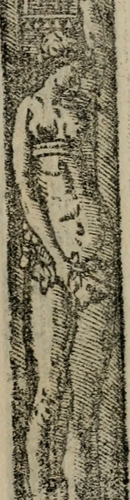 An illustration from Emblemas morales de Don Sebastian de Couarrubias Orozco ..., 1610, leaf 486