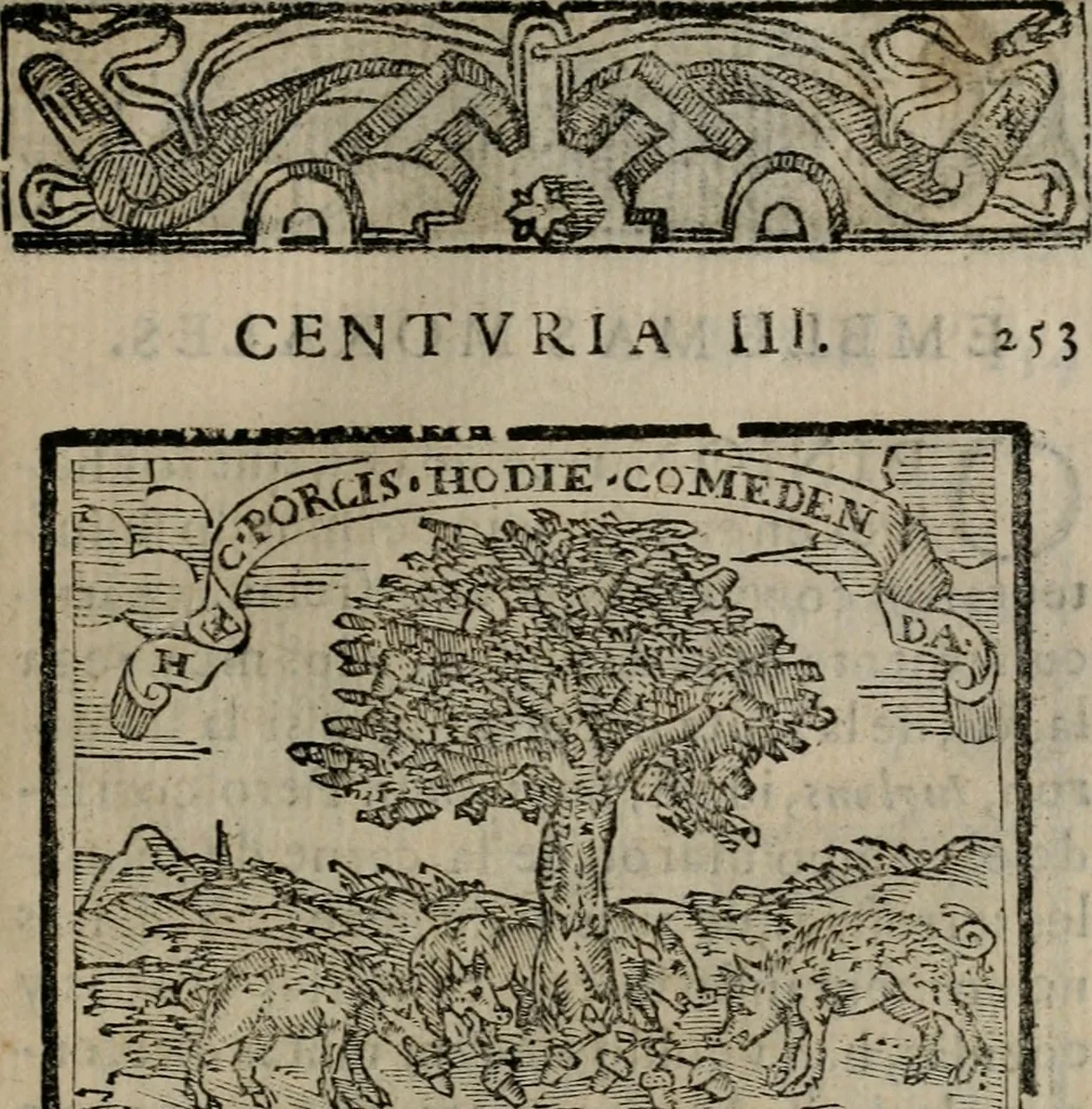 An illustration from Emblemas morales de Don Sebastian de Couarrubias Orozco ..., 1610, leaf 506