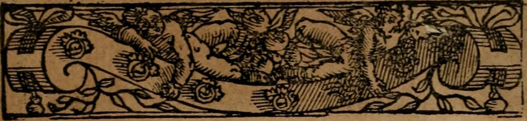 An illustration from Emblemas morales de Don Sebastian de Couarrubias Orozco ..., 1610, leaf 62