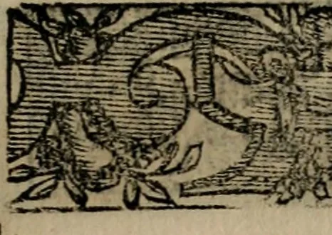 An illustration from Emblemas morales de Don Sebastian de Couarrubias Orozco ..., 1610, leaf 70