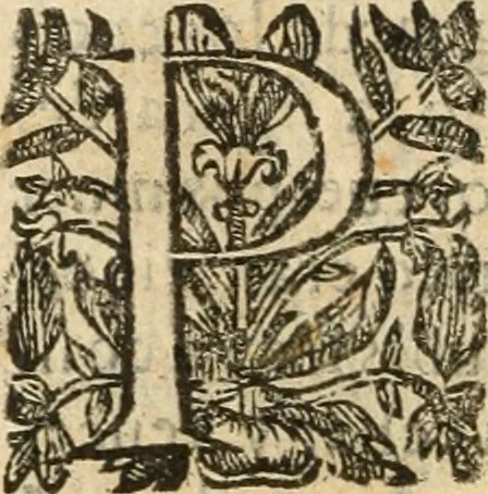 An illustration from Emblemas morales de Don Iuan de Horozco Covarruuias..., 1604, leaf 115
