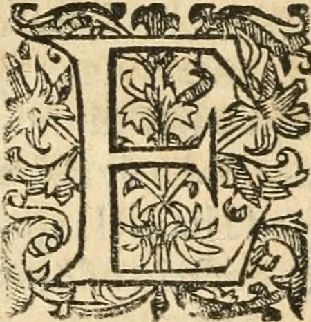 An illustration from Emblemas morales de Don Iuan de Horozco Covarruuias..., 1604, leaf 135