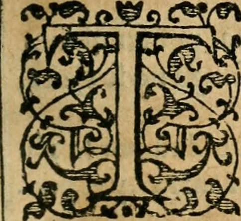 An illustration from Emblemas morales de Don Iuan de Horozco Covarruuias..., 1604, leaf 168