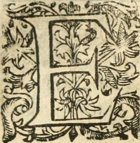 An illustration from Emblemas morales de Don Iuan de Horozco Covarruuias..., 1604, leaf 193