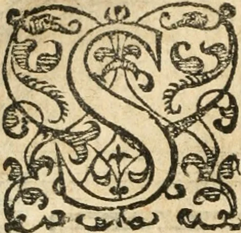 An illustration from Emblemas morales de Don Iuan de Horozco Covarruuias..., 1604, leaf 197