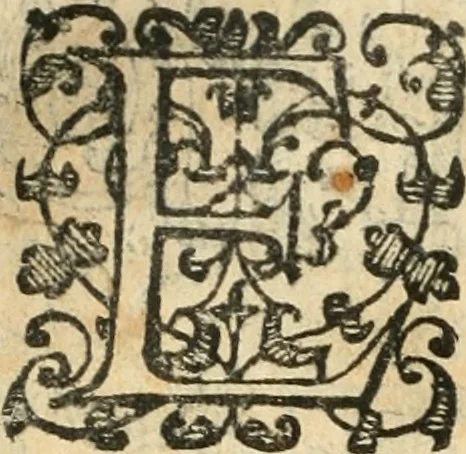An illustration from Emblemas morales de Don Iuan de Horozco Covarruuias..., 1604, leaf 201