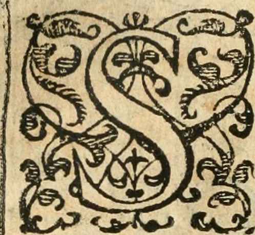 An illustration from Emblemas morales de Don Iuan de Horozco Covarruuias..., 1604, leaf 205
