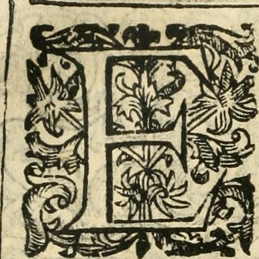 An illustration from Emblemas morales de Don Iuan de Horozco Covarruuias..., 1604, leaf 213