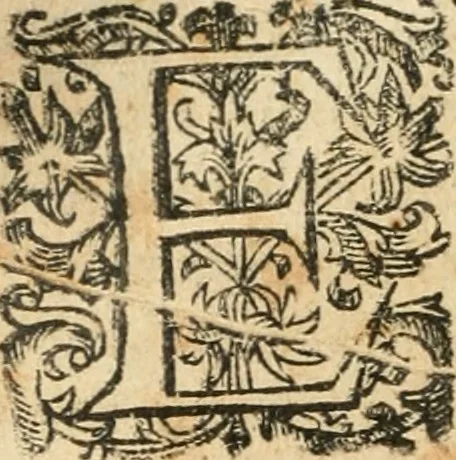 An illustration from Emblemas morales de Don Iuan de Horozco Covarruuias..., 1604, leaf 235