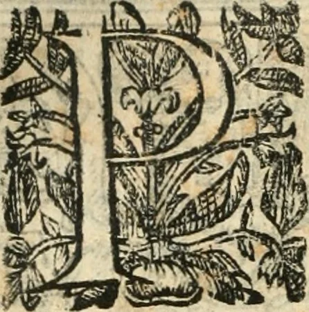 An illustration from Emblemas morales de Don Iuan de Horozco Covarruuias..., 1604, leaf 239