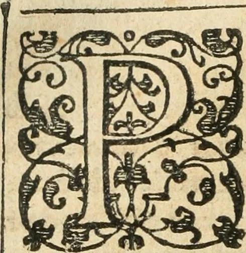 An illustration from Emblemas morales de Don Iuan de Horozco Covarruuias..., 1604, leaf 247