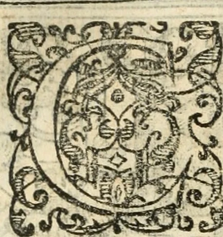 An illustration from Emblemas morales de Don Iuan de Horozco Covarruuias..., 1604, leaf 255