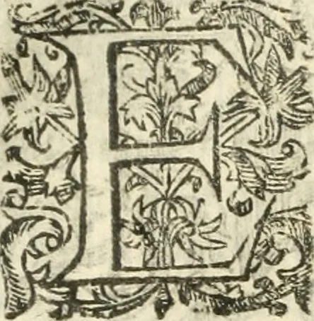 An illustration from Emblemas morales de Don Iuan de Horozco Covarruuias..., 1604, leaf 267