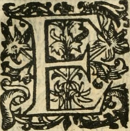 An illustration from Emblemas morales de Don Iuan de Horozco Covarruuias..., 1604, leaf 291