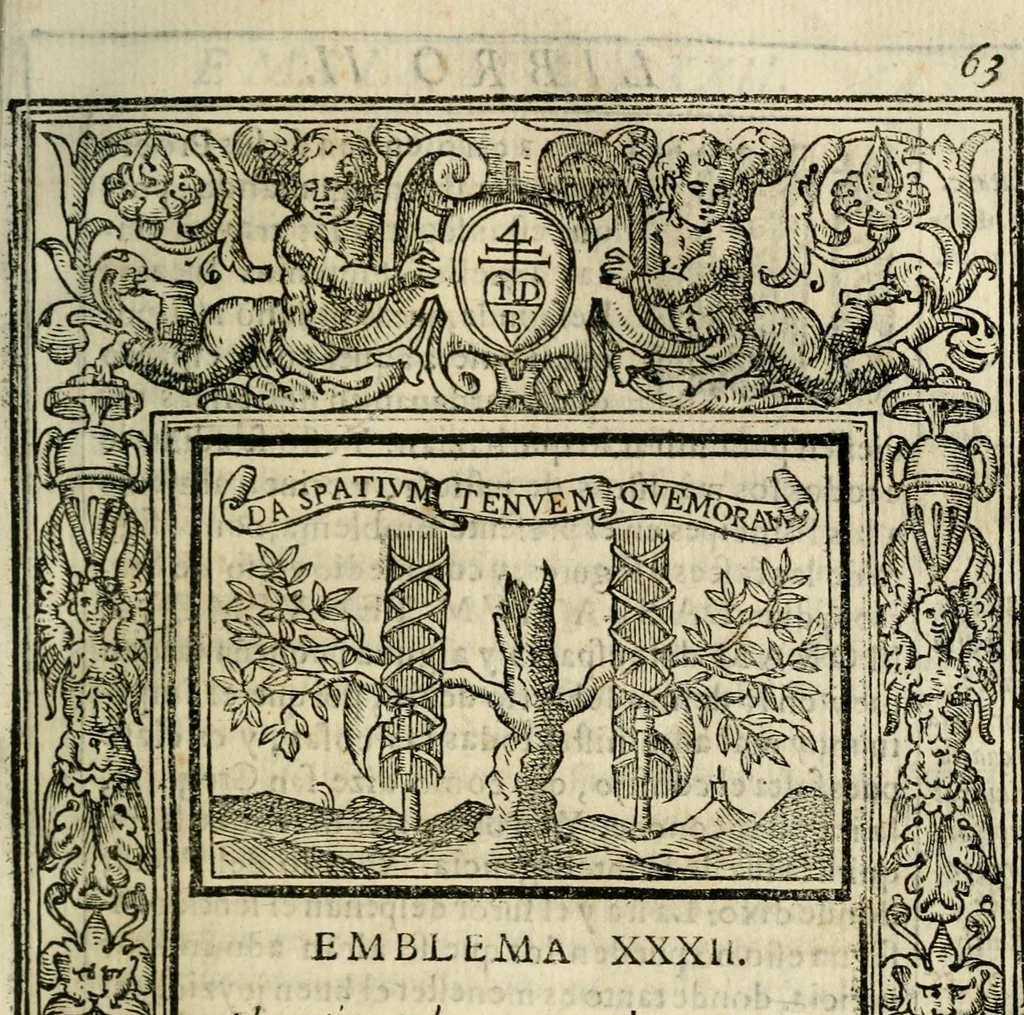 An illustration from Emblemas morales de Don Iuan de Horozco Covarruuias..., 1604, leaf 306