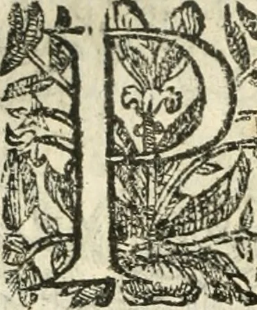 An illustration from Emblemas morales de Don Iuan de Horozco Covarruuias..., 1604, leaf 307