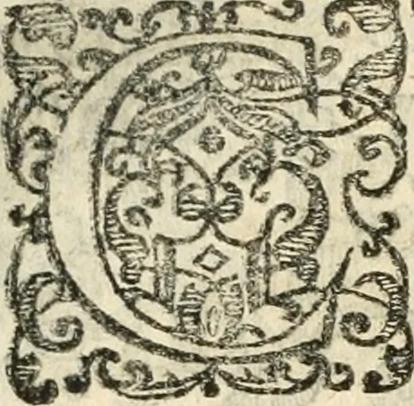 An illustration from Emblemas morales de Don Iuan de Horozco Covarruuias..., 1604, leaf 319