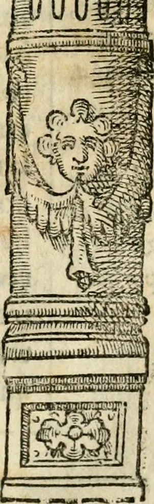 An illustration from Emblemas morales de Don Iuan de Horozco Covarruuias..., 1604, leaf 322