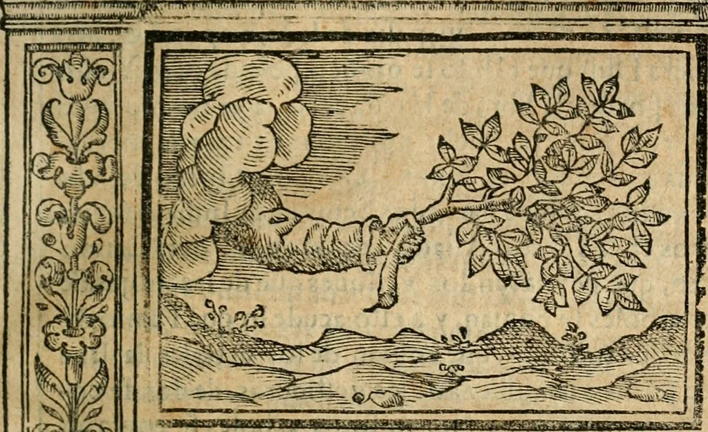 An illustration from Emblemas morales de Don Iuan de Horozco Covarruuias..., 1604, leaf 342