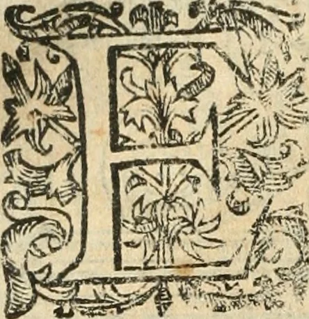An illustration from Emblemas morales de Don Iuan de Horozco Covarruuias..., 1604, leaf 343