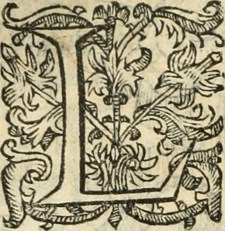 An illustration from Emblemas morales de Don Iuan de Horozco Covarruuias..., 1604, leaf 347