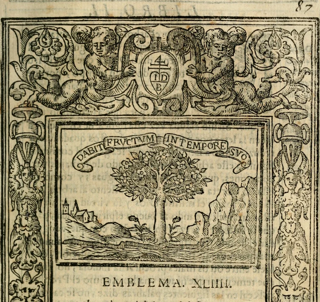 An illustration from Emblemas morales de Don Iuan de Horozco Covarruuias..., 1604, leaf 354