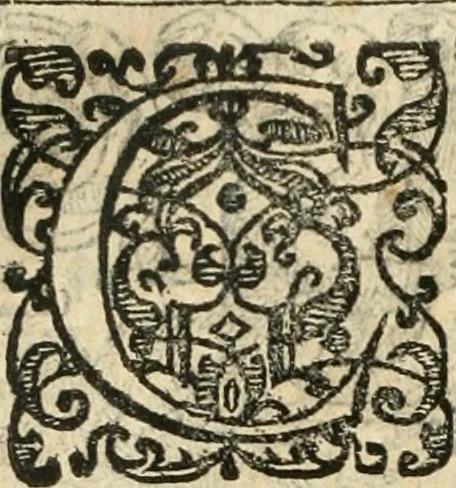 An illustration from Emblemas morales de Don Iuan de Horozco Covarruuias..., 1604, leaf 355