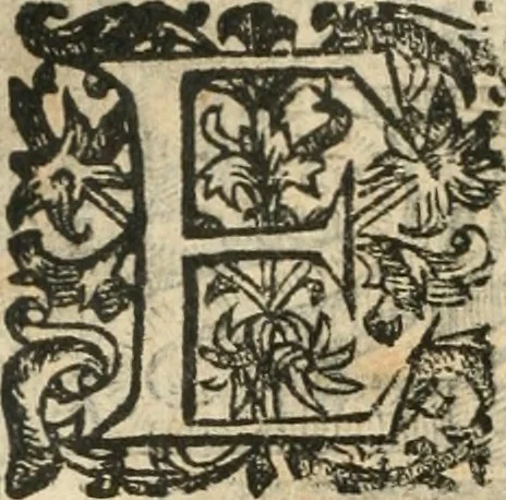 An illustration from Emblemas morales de Don Iuan de Horozco Covarruuias..., 1604, leaf 373