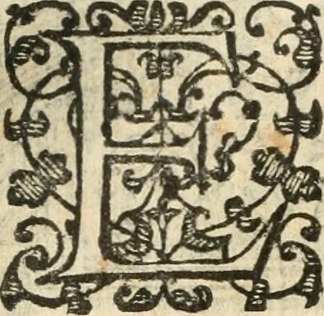 An illustration from Emblemas morales de Don Iuan de Horozco Covarruuias..., 1604, leaf 399