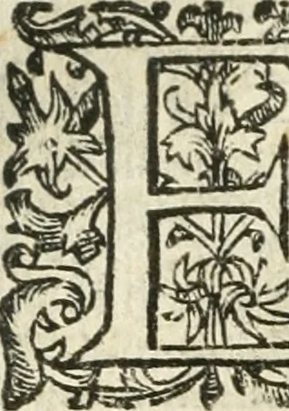 An illustration from Emblemas morales de Don Iuan de Horozco Covarruuias..., 1604, leaf 403