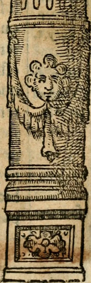 An illustration from Emblemas morales de Don Iuan de Horozco Covarruuias..., 1604, leaf 414