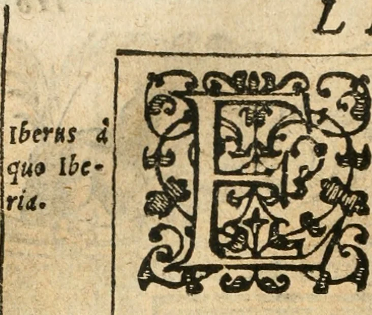 An illustration from Emblemas morales de Don Iuan de Horozco Covarruuias..., 1604, leaf 415