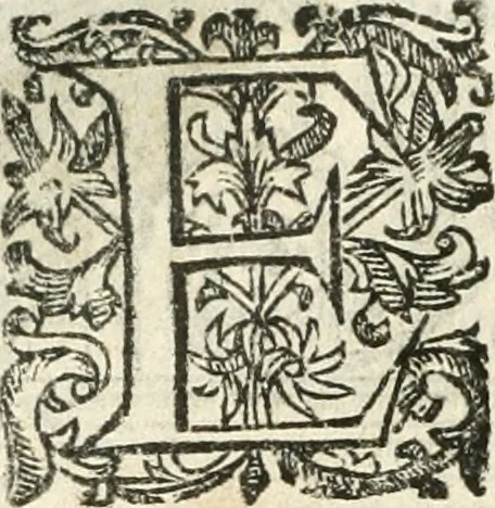 An illustration from Emblemas morales de Don Iuan de Horozco Covarruuias..., 1604, leaf 419